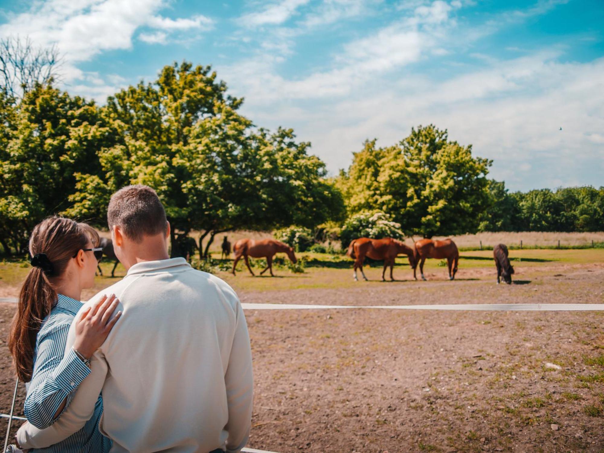 Zafír Apartmanház Sárvár Exteriér fotografie